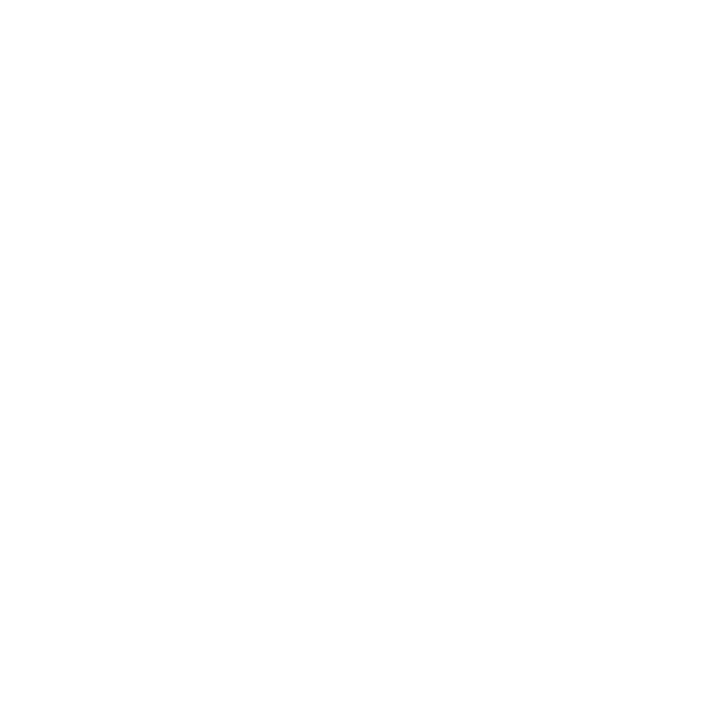 Twitter social media icon